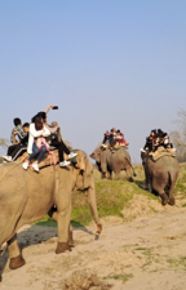 Nepal Wildlife Safari Tour